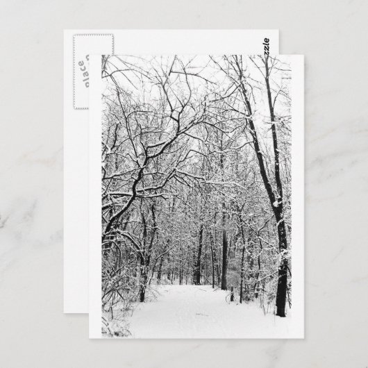 Carte Postale Bois d'hiver (Devant / Derrière)