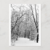 Carte Postale Bois d'hiver (Devant)