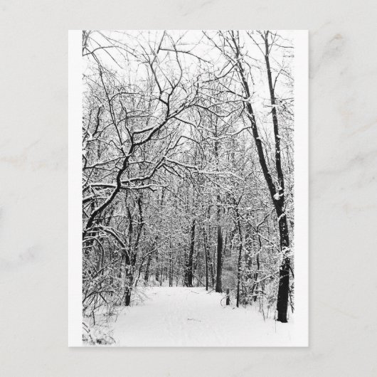 Carte Postale Bois d'hiver (Devant)