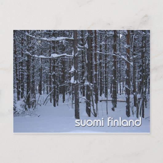 Carte Postale Bois d'hiver de Suomi Finlande (Devant)