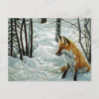 Carte Postale Bois d'hiver, Fox