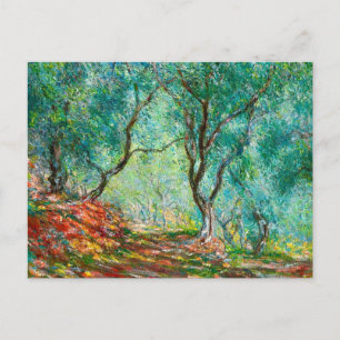 Carte Postale Bois d'olivier dans le jardin de Moreno, 1884