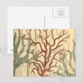 Carte Postale Bois et petit corail (Devant / Derrière)