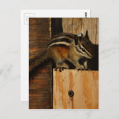 Carte Postale bois et tamia (Devant / Derrière)