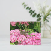 Carte Postale Bois moucheté - Papillon sur Sedum (Debout devant)