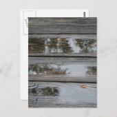 Carte Postale Bois mouillé avec des flaques image arrière - plan (Devant / Derrière)
