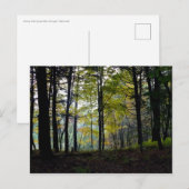 Carte Postale Bois mystique à la gorge de Quechee (Devant / Derrière)