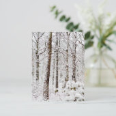 Carte Postale Bois Pocono neigeux (Debout devant)