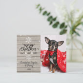 Carte Postale Bois rustique et flocons de neige Photo Chien de N (Debout devant)