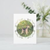 Carte Postale Bois Verts (Debout devant)
