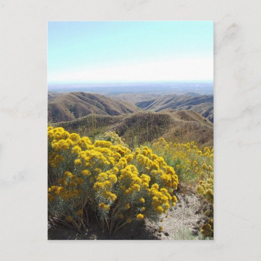 Carte Postale Boise Foothills (Devant)