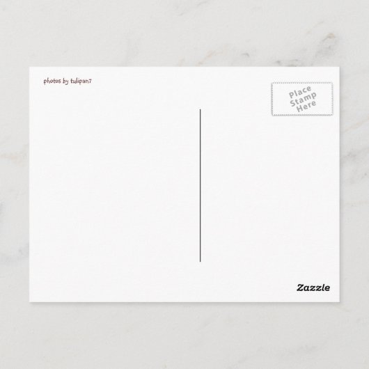 Carte Postale boiseries (Dos)