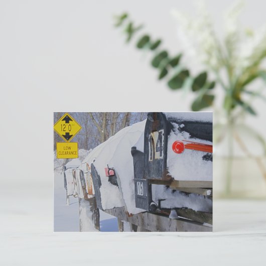 Carte Postale Boîte à glace (Debout devant)