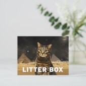 Carte Postale Boîte à litière (Debout devant)