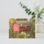 Carte postale boîte aux lettres (Debout devant)