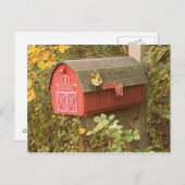 Carte postale boîte aux lettres (Devant / Derrière)