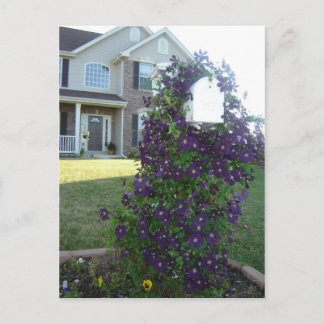 Carte Postale Boîte aux lettres et Clematis