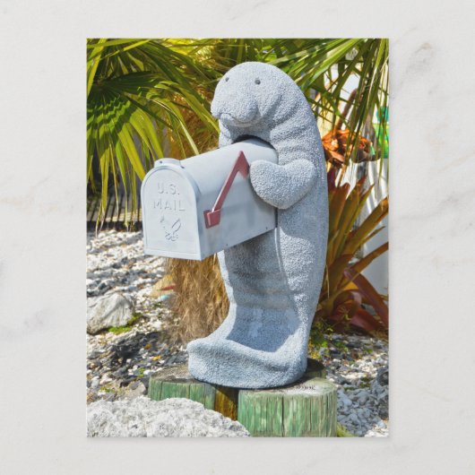 Carte Postale Boîte aux lettres Manatee (Devant)