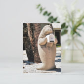 Carte Postale Boîte aux lettres Manatee en Floride Photo (Debout devant)