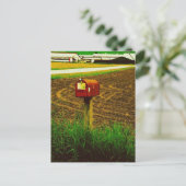 Carte Postale Boîte aux lettres Route rurale (Debout devant)