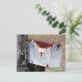 Carte Postale Boîte aux lettres rustique (Debout devant)