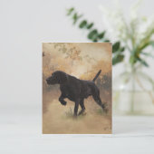 Carte Postale Boîte cadeau German Shorthaired Pointer prêt à cha (Debout devant)