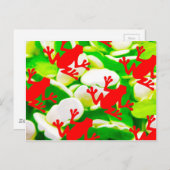 Carte Postale Boîte de grenouilles (Devant / Derrière)