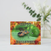 Carte Postale Boîte d'Halloween Elder Bug Coordonner les élément (Debout devant)