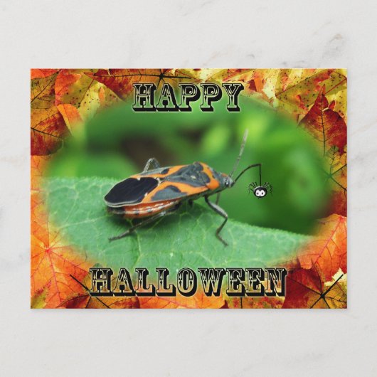 Carte Postale Boîte d'Halloween Elder Bug Coordonner les élément (Devant)