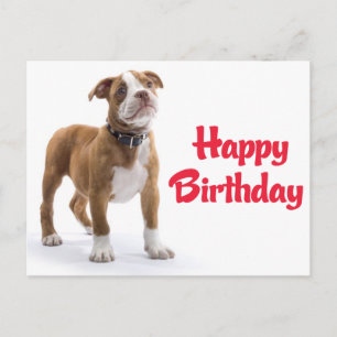 Carte Postale Boîte Joyeux Anniversaire Chien Boxer