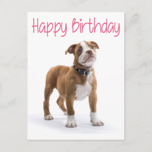 Carte Postale Boîte Joyeux Anniversaire Chien Boxer