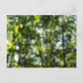 Carte Postale Bokeh au printemps (Devant)