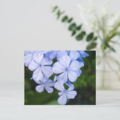 Carte Postale Bokeh Floral Bleu (Debout devant)