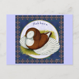 Carte Postale Bokhara Pigeon Dans Le Tour