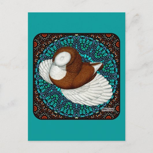 Carte Postale Bokhara Pigeon Fancy (Devant)
