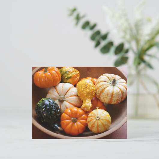 Carte Postale Bol à courge (Debout devant)