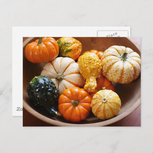 Carte Postale Bol à courge (Devant / Derrière)