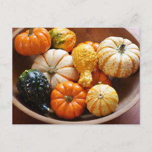Carte Postale Bol à courge