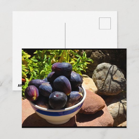 Carte Postale Bol de fruits de figue sur pierre (Devant / Derrière)