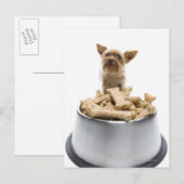Carte Postale Bol de gâteries pour chiens par Yorkshire Terrier (Devant / Derrière)