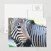 Carte postale Bold Zebra (Devant / Derrière)