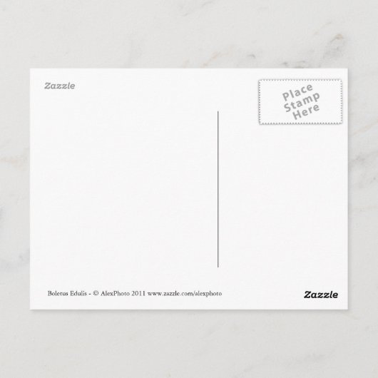 Carte Postale Boletus Edulis (Dos)