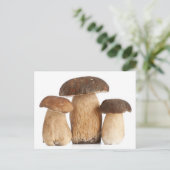 Carte Postale Boletus Edulis PCard (Debout devant)