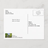 Carte Postale Bollinger Mill Et Burfordville Couvert Bridge (Dos)