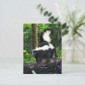 Carte postale "Bomba" (Debout devant)