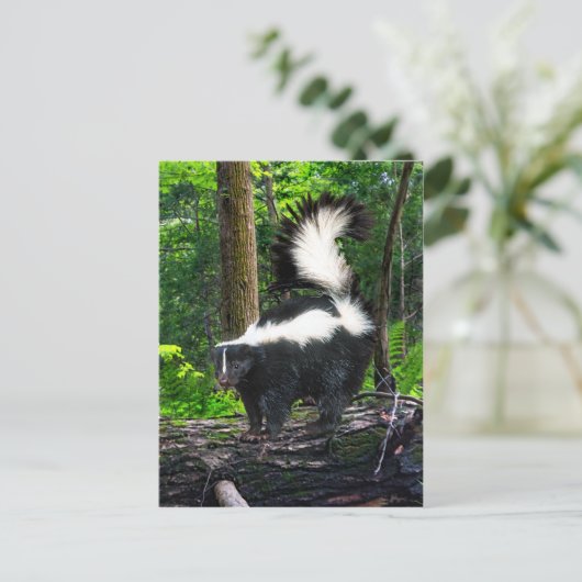 Carte postale "Bomba" (Debout devant)