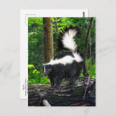 Carte postale "Bomba" (Devant / Derrière)