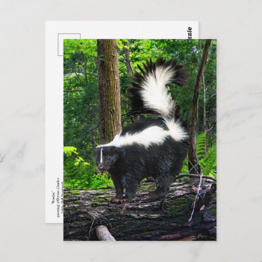 Carte postale "Bomba" (Devant / Derrière)