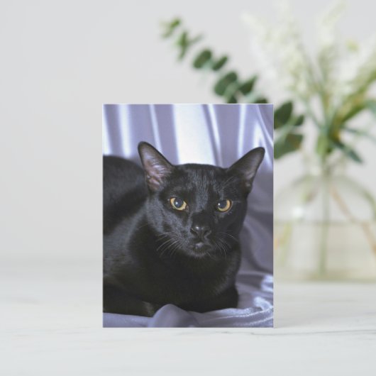 Carte Postale Bombay (Debout devant)