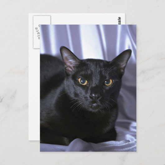 Carte Postale Bombay (Devant / Derrière)